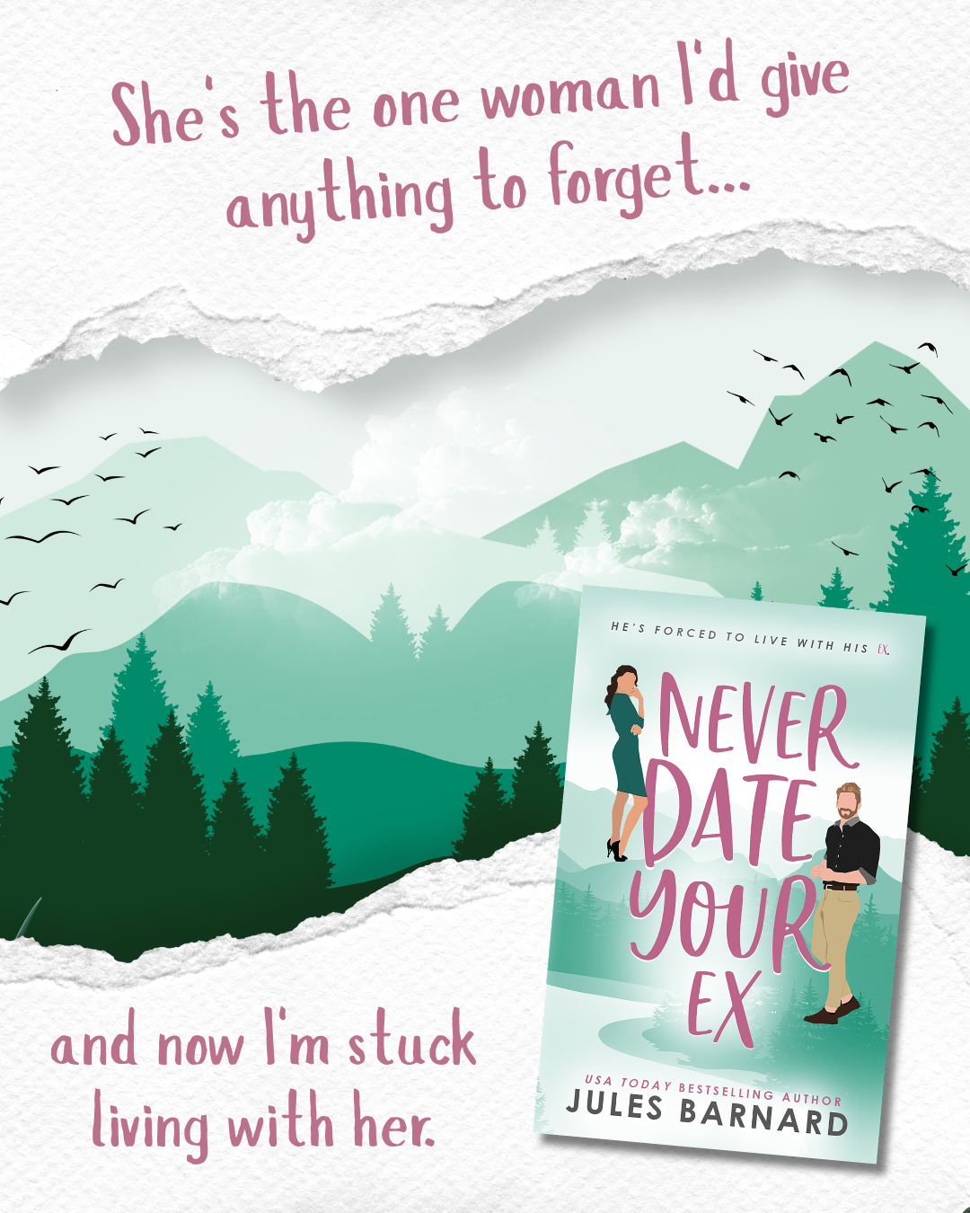 Never Date Series 5 e-Book Romance Bundle